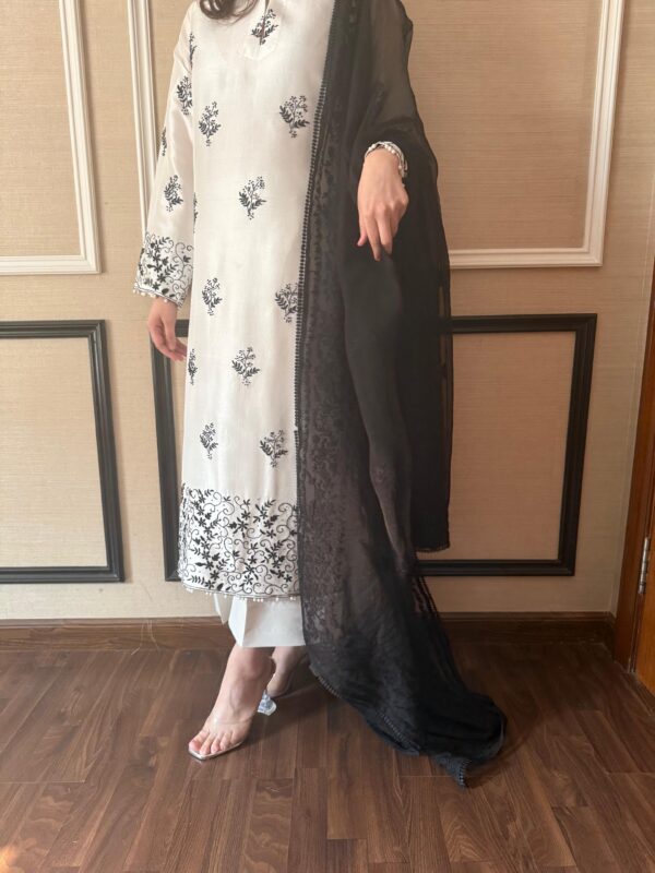best Fabricne Raw Silk collection