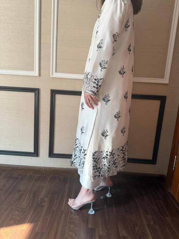 best Fabricne Raw Silk collection