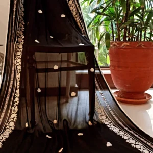 Eid new collection, best black collection,Black embroidered chiffon tunic with sheer sleeves, pearl embellishments, paired with matching straight pants and stylish sandals,Elegant and festive wear, chiffon duppata,