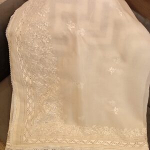 hand made organza tarkashi dupatta