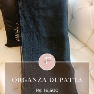organza dupatta