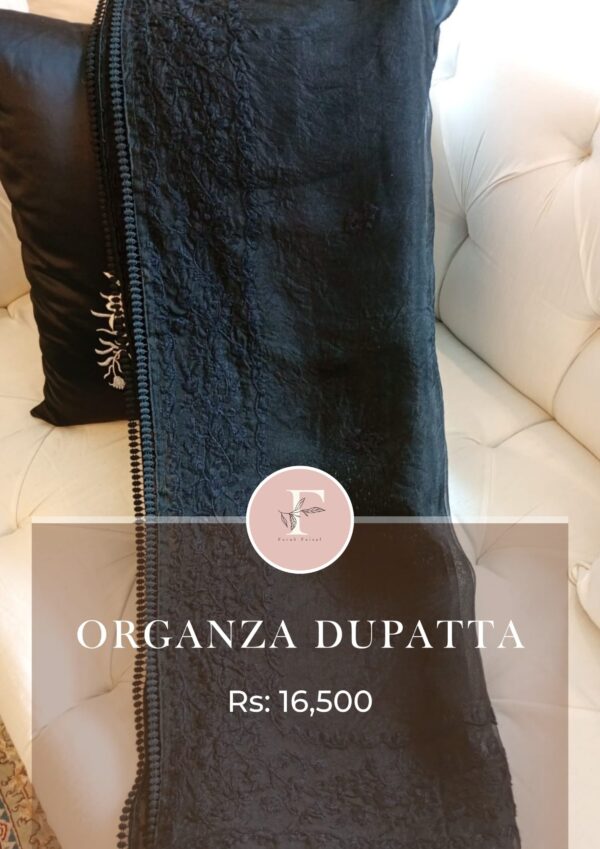 organza dupatta