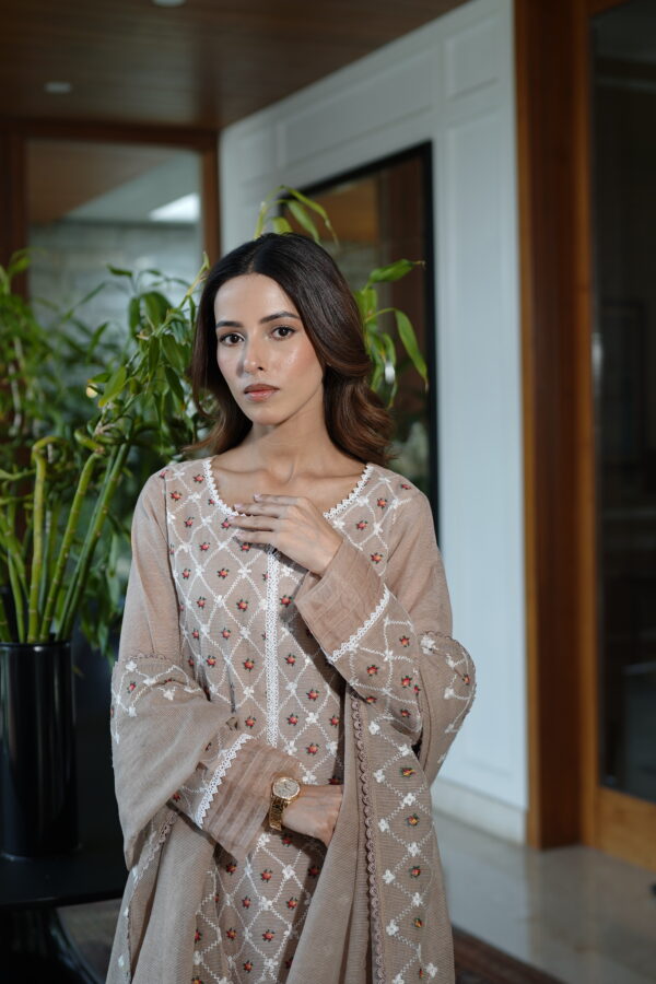 Beige Organza Khadi Net 3 Piece - Image 5