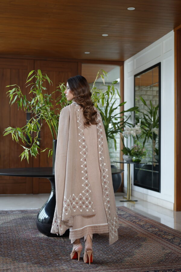 Beige Organza Khadi Net 3 Piece - Image 4